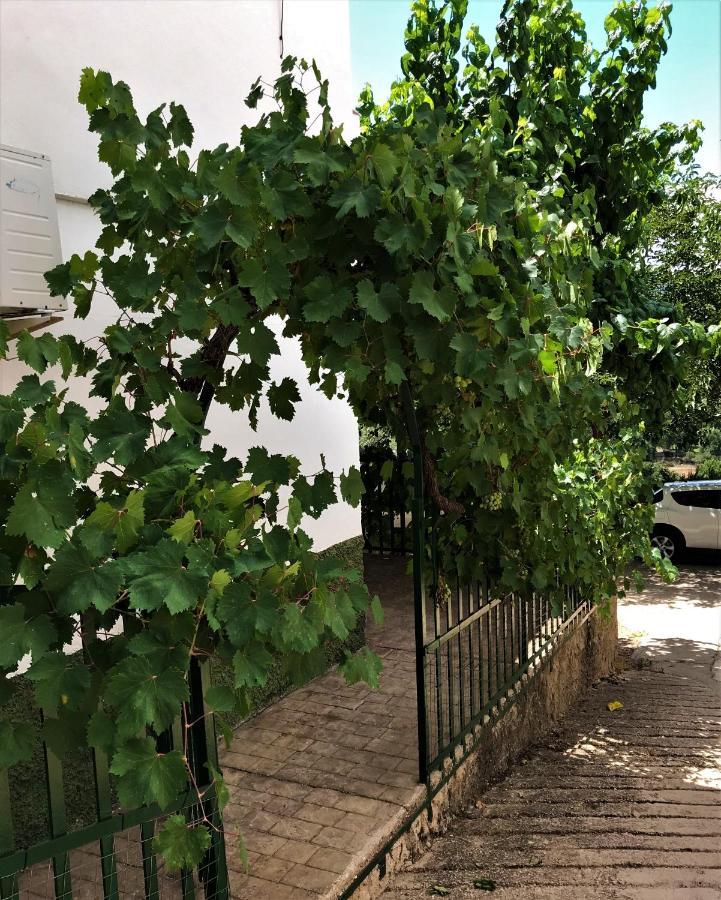 Alojamientos Loma De Mariangela Coto Ríos Zewnętrze zdjęcie