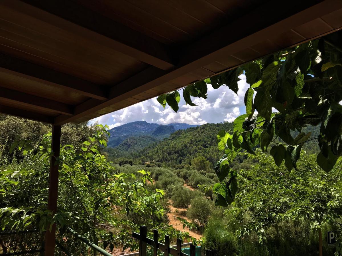 Alojamientos Loma De Mariangela Coto Ríos Zewnętrze zdjęcie